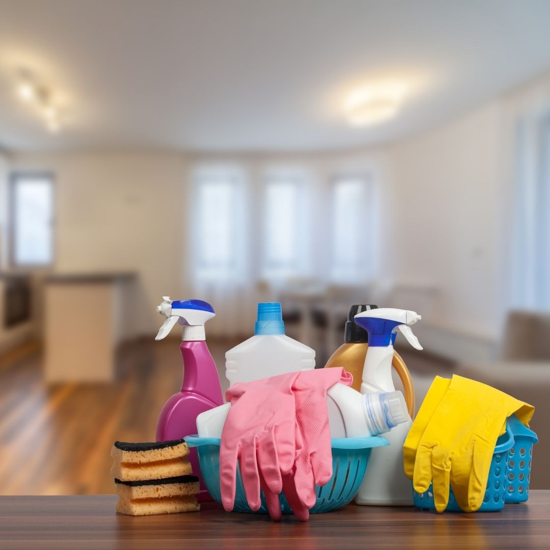 How to prevent mould - Professionals Collective